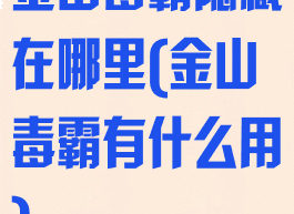 金山毒霸隐藏在哪里(金山毒霸有什么用)