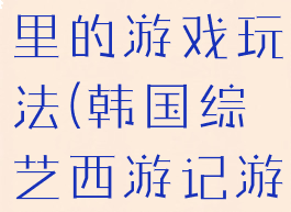 韩综西游记里的游戏玩法(韩国综艺西游记游戏)