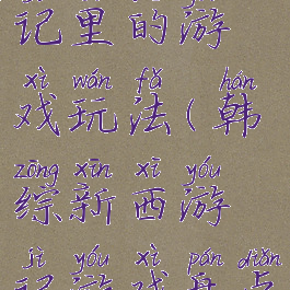 韩综西游记里的游戏玩法(韩综新西游记游戏盘点)