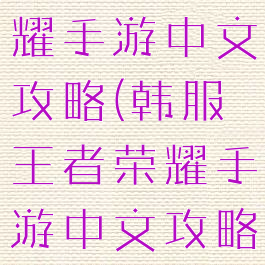 韩服王者荣耀手游中文攻略(韩服王者荣耀手游中文攻略大全)