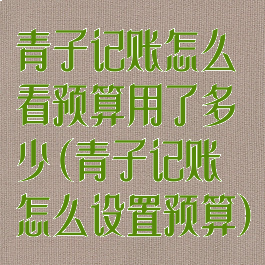 青子记账怎么看预算用了多少(青子记账怎么设置预算)