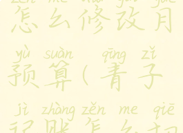 青子记账怎么修改月预算(青子记账怎么切换账本)