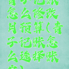 青子记账怎么修改月预算(青子记账怎么选择账户)