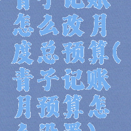 青子记账怎么改月度总预算(青子记账月预算怎么设置)