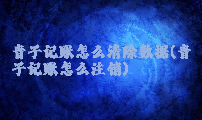 青子记账怎么清除数据(青子记账怎么注销)