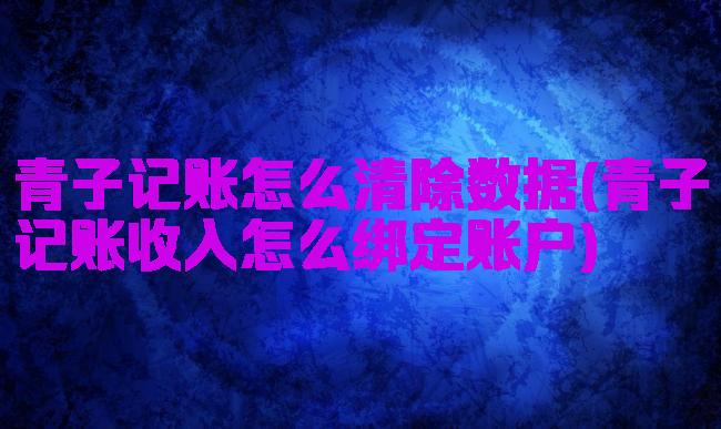青子记账怎么清除数据(青子记账收入怎么绑定账户)