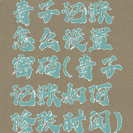 青子记账怎么设置密码(青子记账如何修改时间)