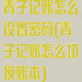 青子记账怎么设置密码(青子记账怎么切换账本)