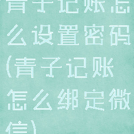 青子记账怎么设置密码(青子记账怎么绑定微信)