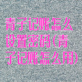 青子记账怎么设置密码(青子记账怎么用)