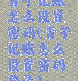 青子记账怎么设置密码(青子记账怎么设置密码登录)