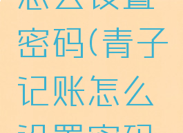 青子记账怎么设置密码(青子记账怎么设置密码登入)