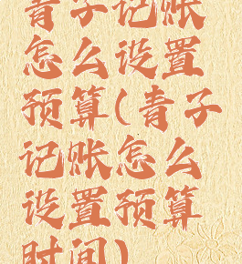 青子记账怎么设置预算(青子记账怎么设置预算时间)
