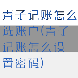 青子记账怎么选账户(青子记账怎么设置密码)