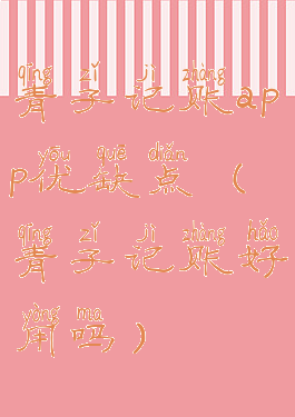 青子记账app优缺点(青子记账好用吗)