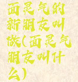 面灵气的新朋友叫做(面灵气朋友叫什么)