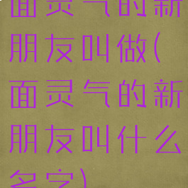 面灵气的新朋友叫做(面灵气的新朋友叫什么名字)