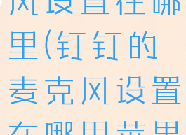 钉钉的麦克风设置在哪里(钉钉的麦克风设置在哪里苹果手机)