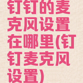 钉钉的麦克风设置在哪里(钉钉麦克风设置)