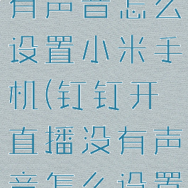 钉钉直播没有声音怎么设置小米手机(钉钉开直播没有声音怎么设置)