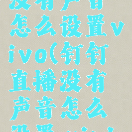 钉钉直播没有声音怎么设置vivo(钉钉直播没有声音怎么设置win10)