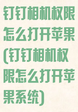 钉钉相机权限怎么打开苹果(钉钉相机权限怎么打开苹果系统)