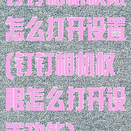 钉钉相机权限怎么打开设置(钉钉相机权限怎么打开设置功能)