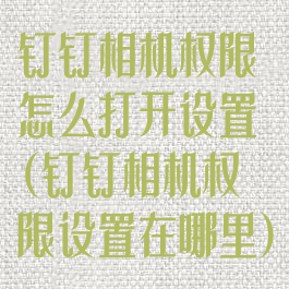 钉钉相机权限怎么打开设置(钉钉相机权限设置在哪里)