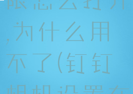 钉钉相机权限怎么打开,为什么用不了(钉钉相机设置在哪里)