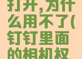 钉钉相机权限怎么打开,为什么用不了(钉钉里面的相机权限设置怎么打开)