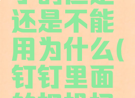 钉钉相机权限打开了的但是还是不能用为什么(钉钉里面的相机权限设置怎么打开)