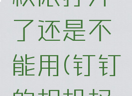 钉钉相机权限打开了还是不能用(钉钉的相机权限设置)