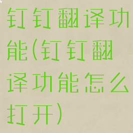 钉钉翻译功能(钉钉翻译功能怎么打开)