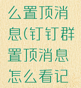 钉钉群怎么置顶消息(钉钉群置顶消息怎么看记录)