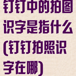 钉钉中的拍图识字是指什么(钉钉拍照识字在哪)