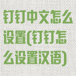 钉钉中文怎么设置(钉钉怎么设置汉语)