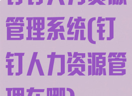 钉钉人力资源管理系统(钉钉人力资源管理在哪)