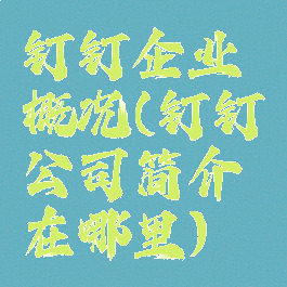 钉钉企业概况(钉钉公司简介在哪里)