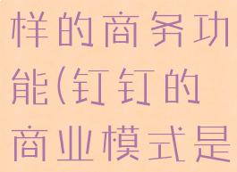 钉钉具有怎样的商务功能(钉钉的商业模式是什么)