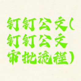 钉钉公文(钉钉公文审批流程)