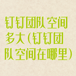 钉钉团队空间多大(钉钉团队空间在哪里)