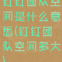 钉钉团队空间是什么意思(钉钉团队空间多大)