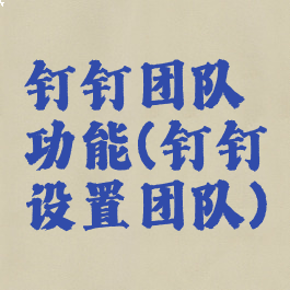 钉钉团队功能(钉钉设置团队)