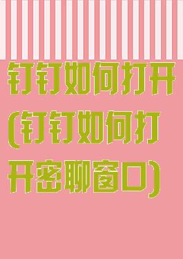 钉钉如何打开(钉钉如何打开密聊窗口)