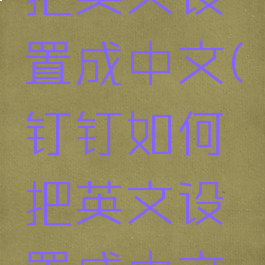 钉钉如何把英文设置成中文(钉钉如何把英文设置成中文版)