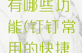 钉钉常用的快捷键有哪些功能(钉钉常用的快捷键有哪些功能呢)