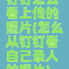 钉钉怎么看上传的照片(怎么从钉钉看自己录入的照片)