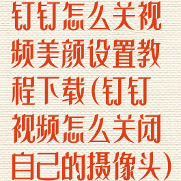 钉钉怎么关视频美颜设置教程下载(钉钉视频怎么关闭自己的摄像头)