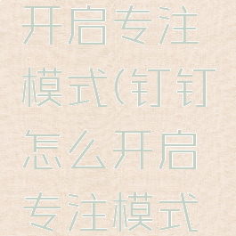 钉钉怎么开启专注模式(钉钉怎么开启专注模式功能)