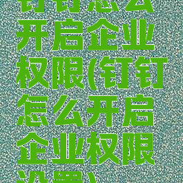 钉钉怎么开启企业权限(钉钉怎么开启企业权限设置)